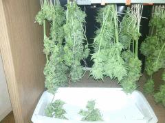 IMG 20140515 091408