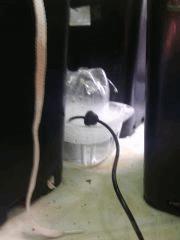 IMG 20140402 012034