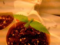IMG 20140302 235129