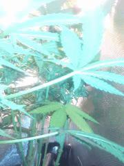 IMG 20140506 022341