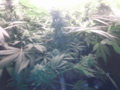 IMG 20140509 020320