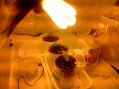 IMG 20140302 235049