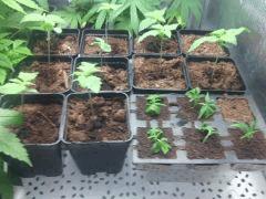 IMG 20140516 010932