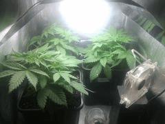 IMG 20140322 231946