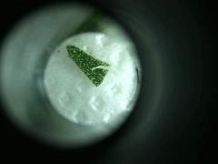 IMG 20140511 031231