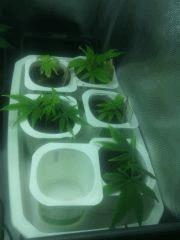 IMG 20140423 202443