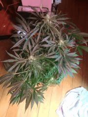 IMG 20140429 202745
