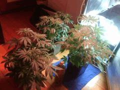 IMG 20140410 011455