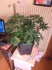 IMG 20140409 235615