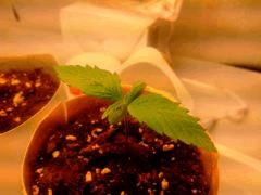 IMG 20140302 235125
