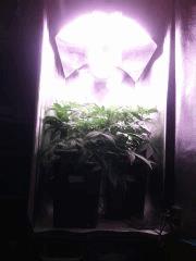 IMG 20140406 210406