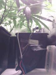 IMG 20140418 214524