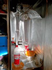 IMG 20140313 082818