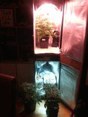 IMG 20140412 041448