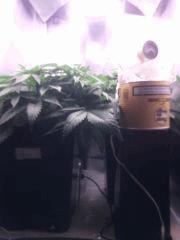 IMG 20140331 004535