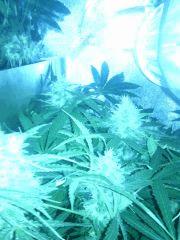 IMG 20140507 195942
