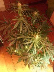 IMG 20140419 202659