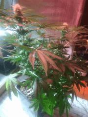 IMG 20140421 231054