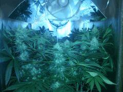IMG 20140507 195911