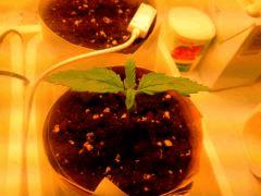 IMG 20140303 214024