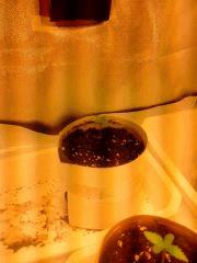IMG 20140227 202758