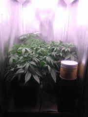 IMG 20140402 032112