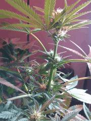 IMG 20140414 051724