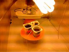 IMG 20140226 020006