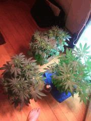 IMG 20140410 011357