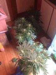 IMG 20140419 205232