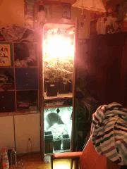 IMG 20140503 012011