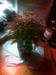 IMG 20140421 231123