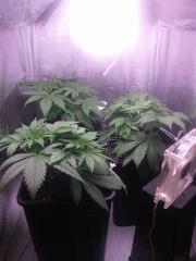 IMG 20140325 000032