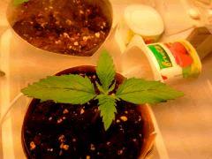 IMG 20140304 215404