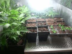 IMG 20140510 024135