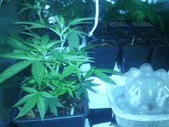 IMG 20140507 200003