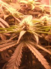 IMG 20140419 202155