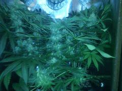 IMG 20140507 195925