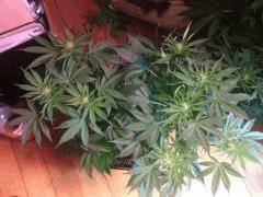 IMG 20140412 040259