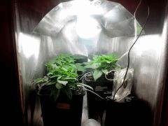 IMG 20140321 071251
