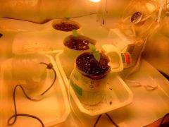 IMG 20140302 235044