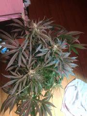 IMG 20140429 202757