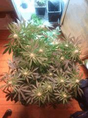 IMG 20140419 205408