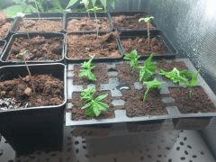 IMG 20140510 024153