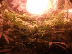 IMG 20140421 002340