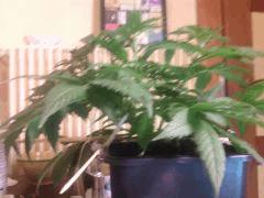 IMG 20140402 024702
