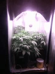 IMG 20140405 015256