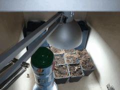 DSC_0454 (Copier).JPG