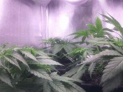 IMG 20140325 212836
