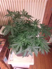 IMG 20140409 235146
